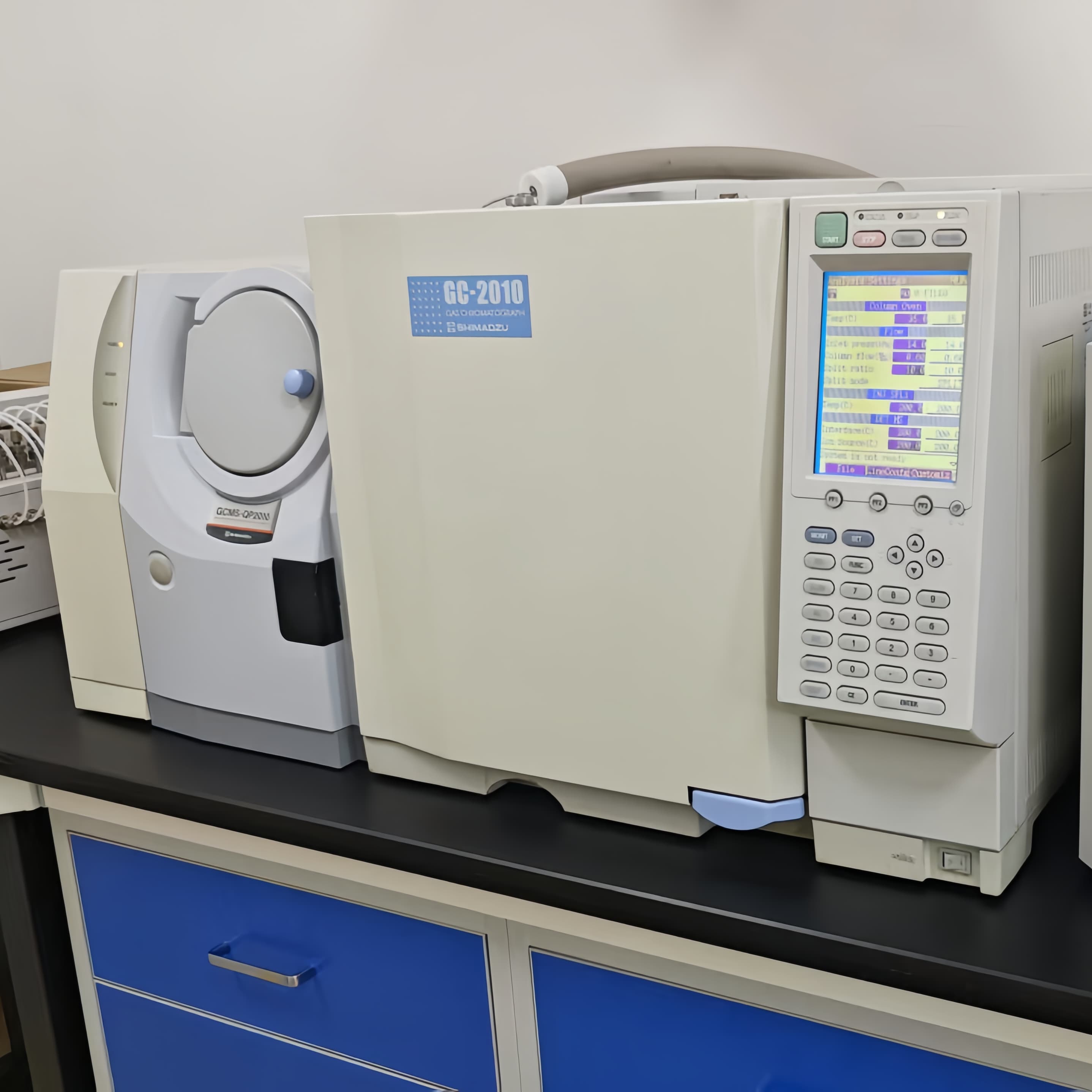 Shimadzu GC-2010 Pyrolysis GCMS